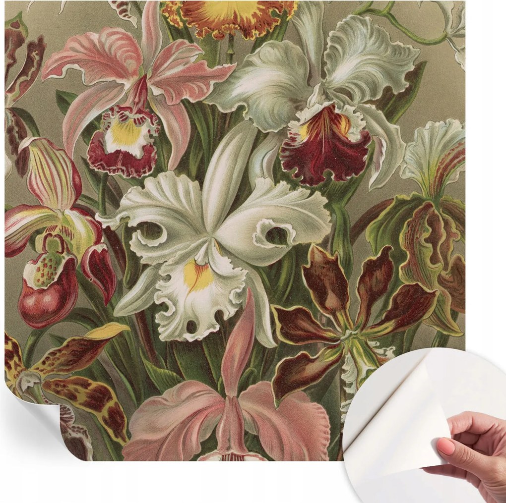 Dekoratív Öntapadós Tapéta Divatos Minták Virágos elegancia 250x250 cm