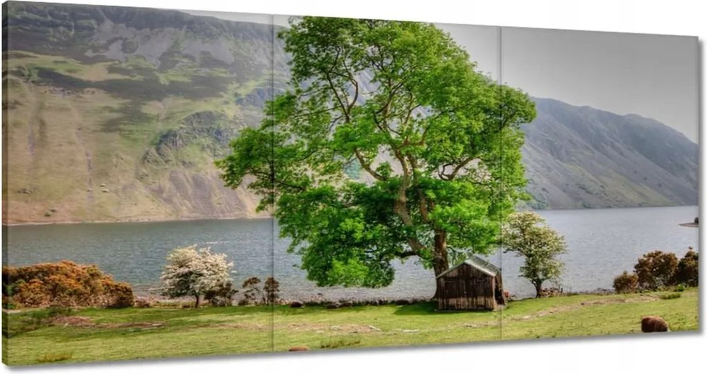 Festmények 120x60 Erős fa