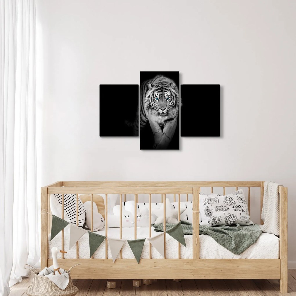 Kép - Tigris kék szemekkel (90x60 cm)