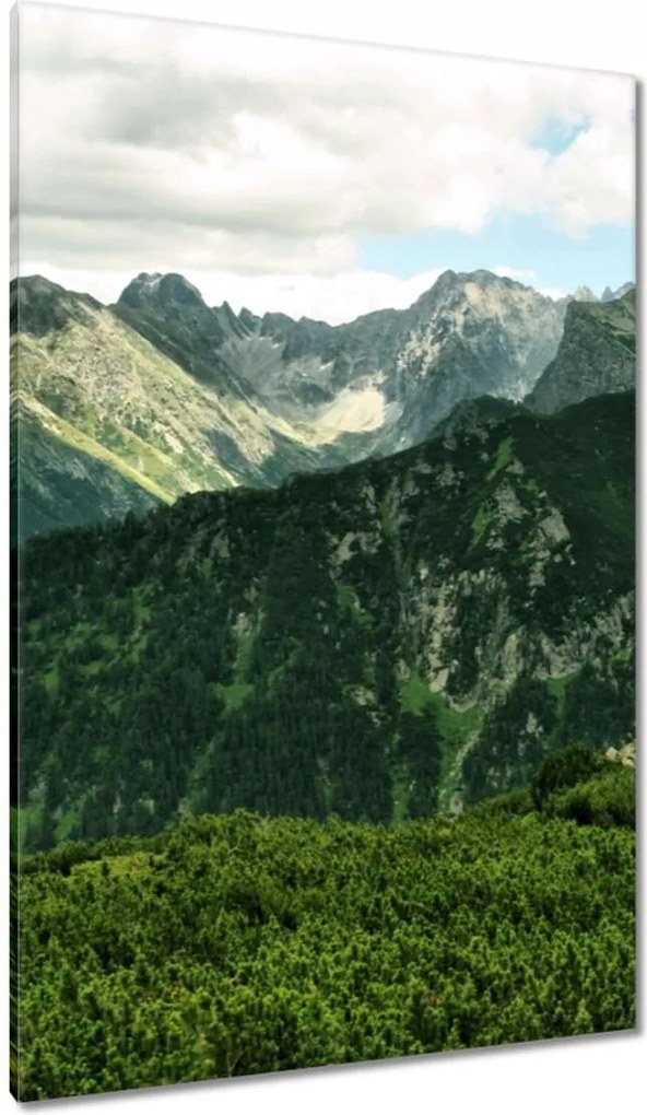 Vászonkép 80x120 Tátra Lengyel hegyek Kilátás