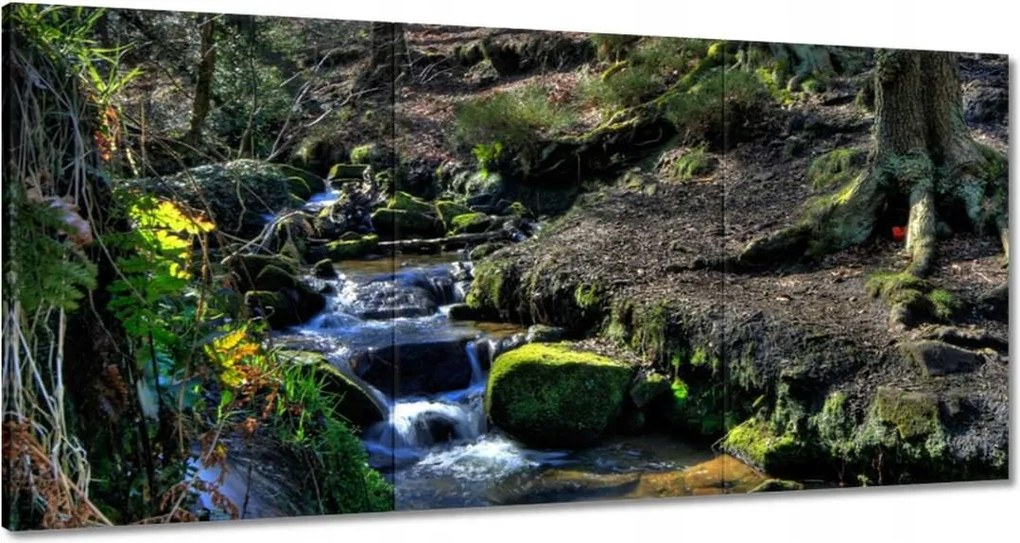 Vászonkép 120x60 Hegyi patak