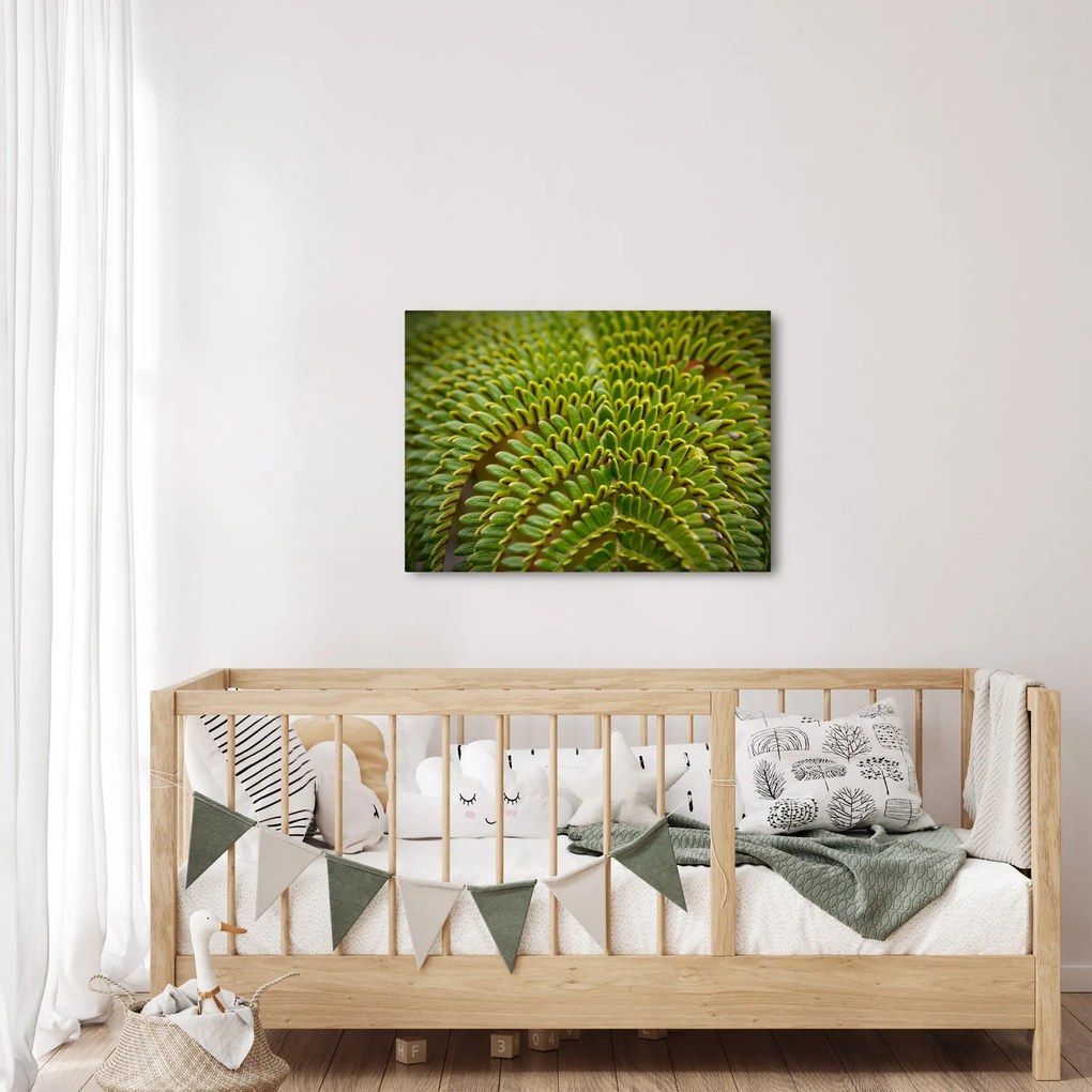 Kép - Fern (70x50 cm)