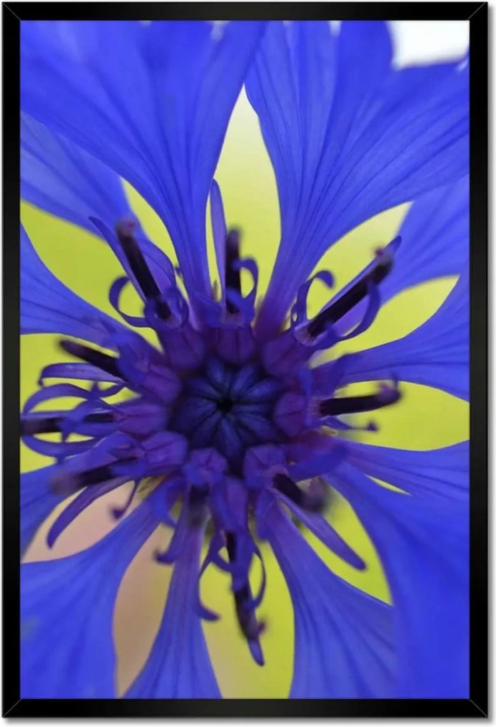 Poszterek keretben 40x60 Chaber