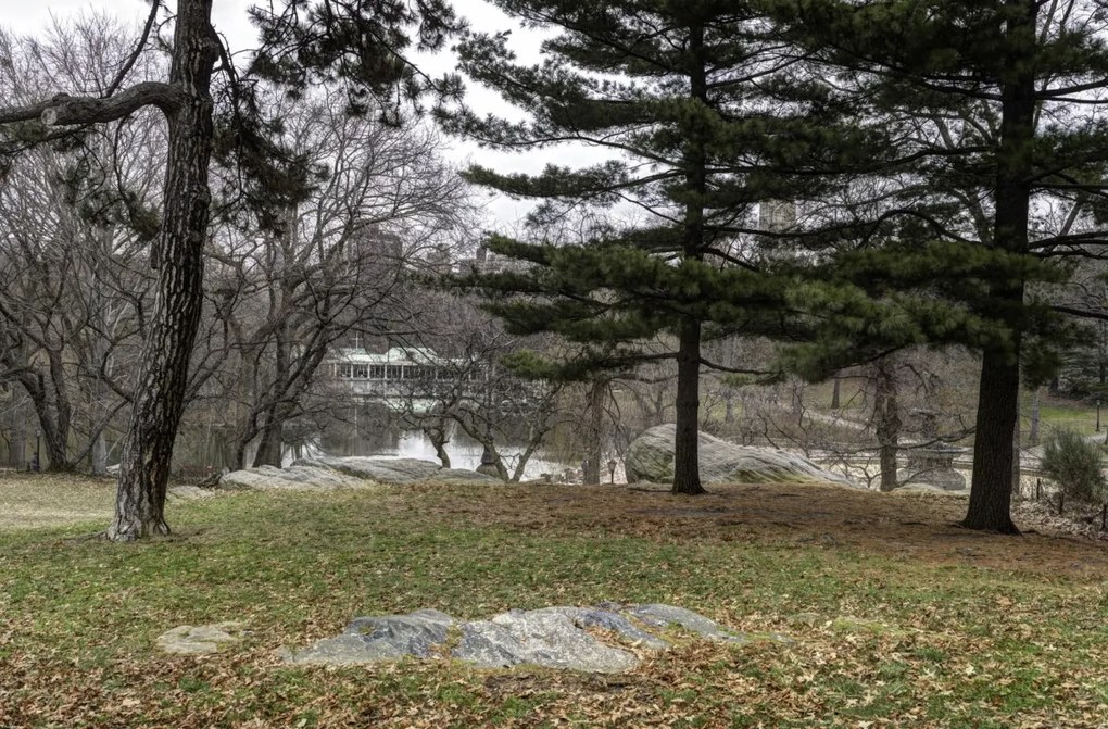 Poszter 86,4x56,8cm Central Park, New York, Assaf Frank