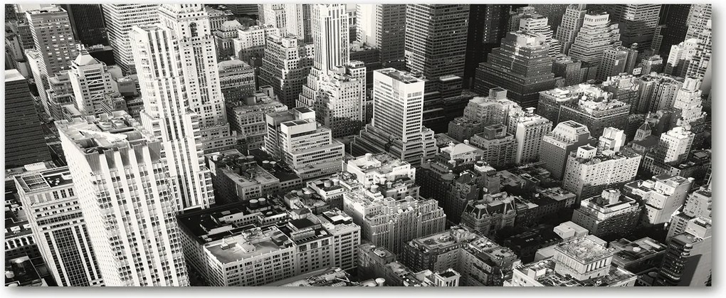 New York edzett üveg panel madár repülés XXL