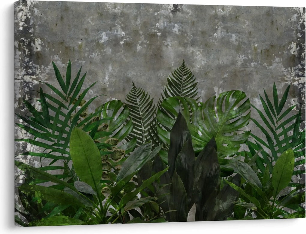 Kép - Betonfal növényekkel (70x50 cm)