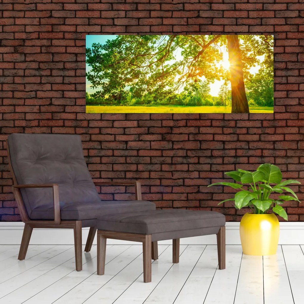 Kép - Sunny Forest (120x50 cm)