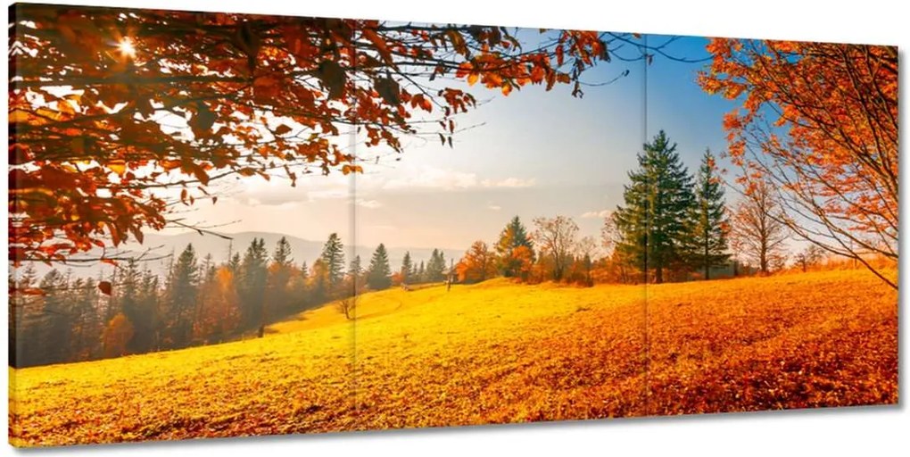 Festmények 210x100 Őszi táj