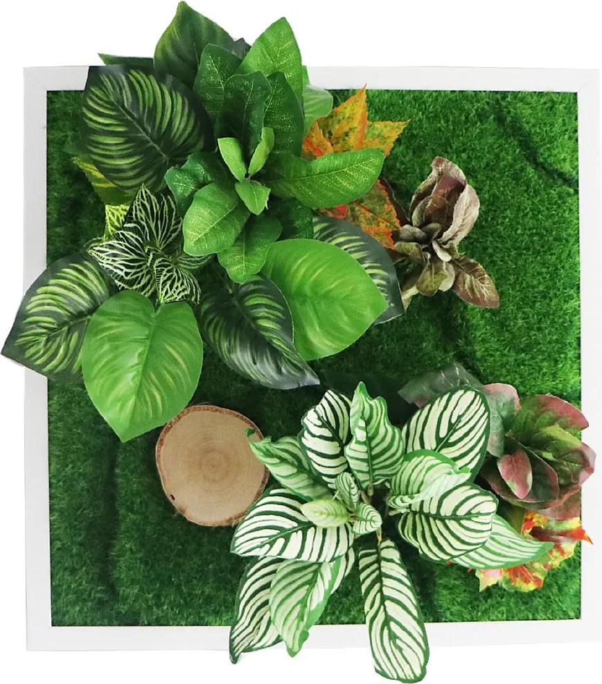 Fali Kert A Növényes Belső Tér Kedvelőinek