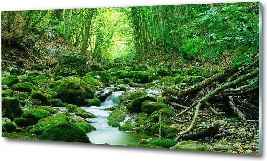 Fotó üvegkép New York madár repülés 125x50