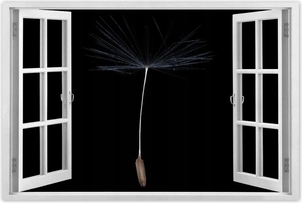 Poszterek 60x40 Pitypang Virág Virágok