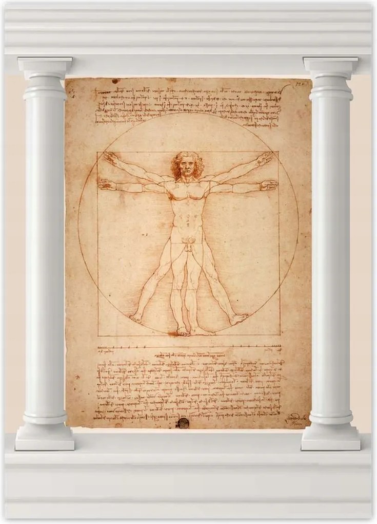Poszterek 50x70 Vitruvius ember