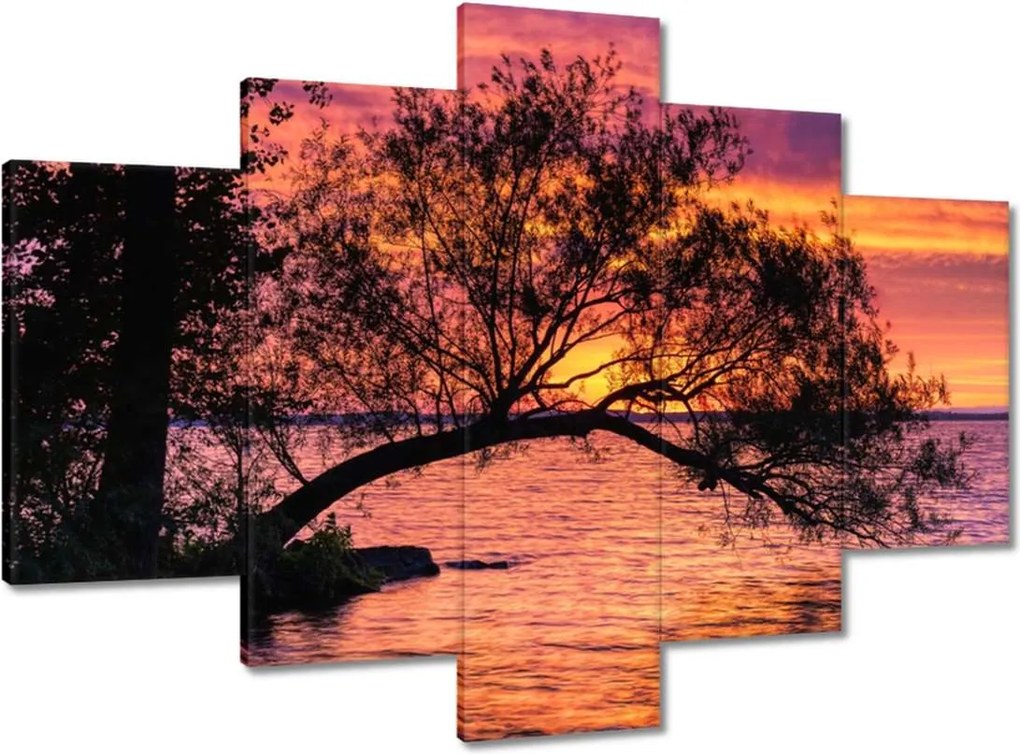 Festmények 150x105 Tó Fa Nyugat