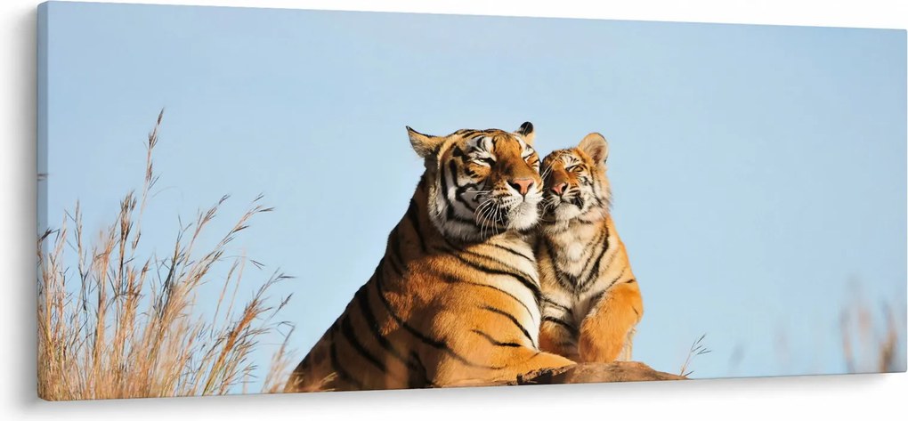 Kép - Tigris és a kölyke (120x50 cm)
