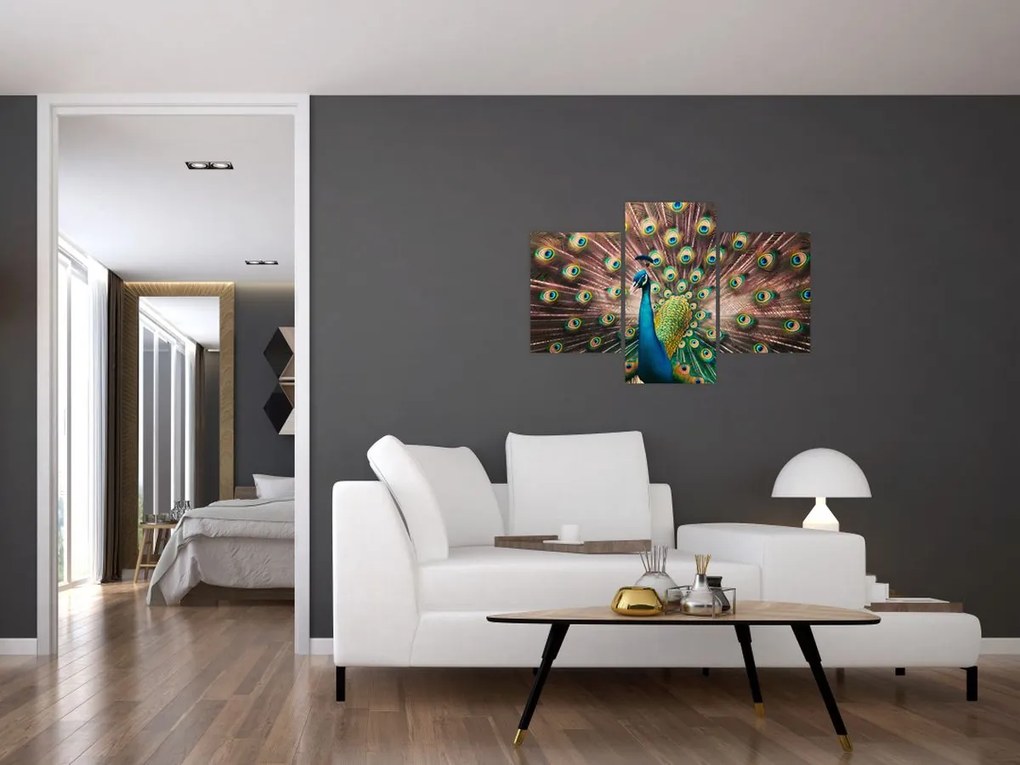 Kép - Páva (90x60 cm)