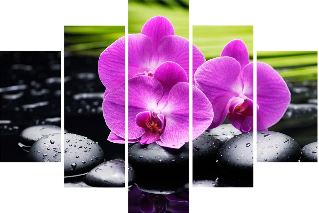 Kép - Orchideák (150x105 cm)