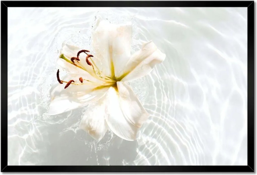 Poszterek keretben 60x40 Virág a vízen Név