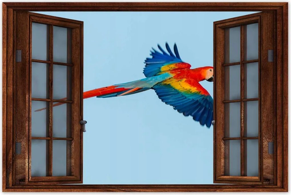 Poszterek 60x40 Papagájok Madarak