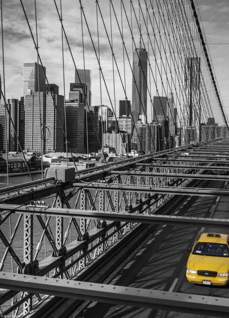 Poszter 20,5x28,4cm Taxi a Brooklyn hídon, Assaf Frank