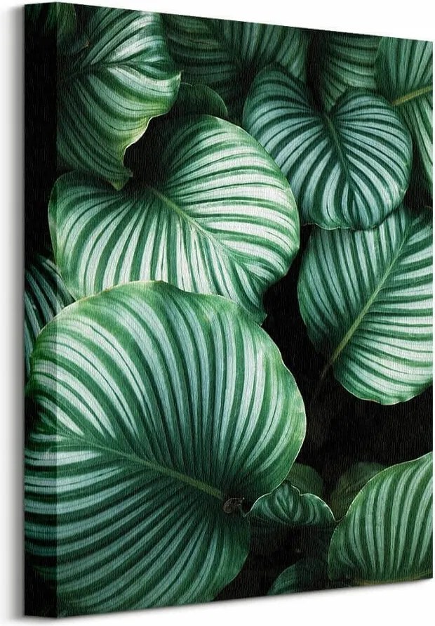 Ren Ran Kalatea vászonkép 30x40 cm