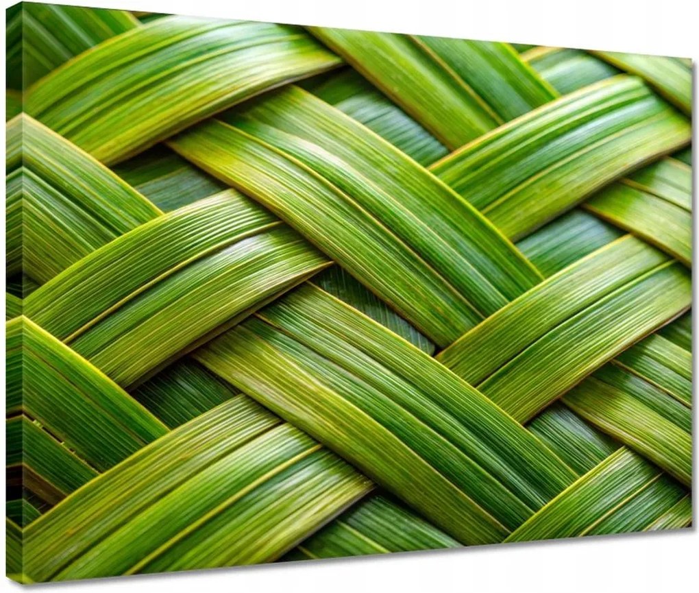 Vászonkép 40x30 Zöld fonott Zöld rattan fonott lemez