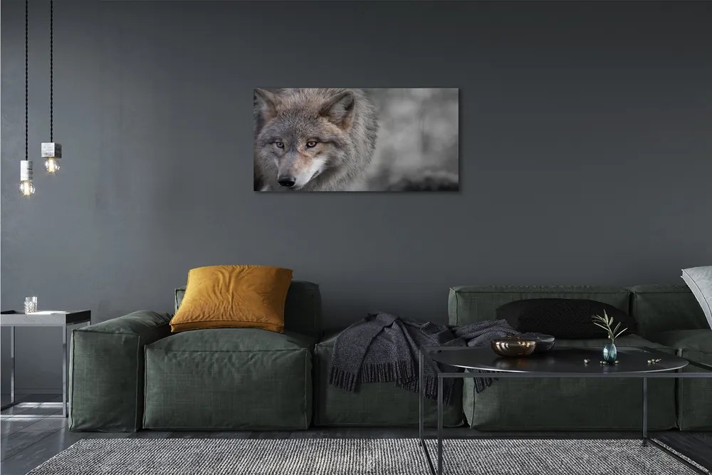 Canvas képek Farkas 125x50 cm