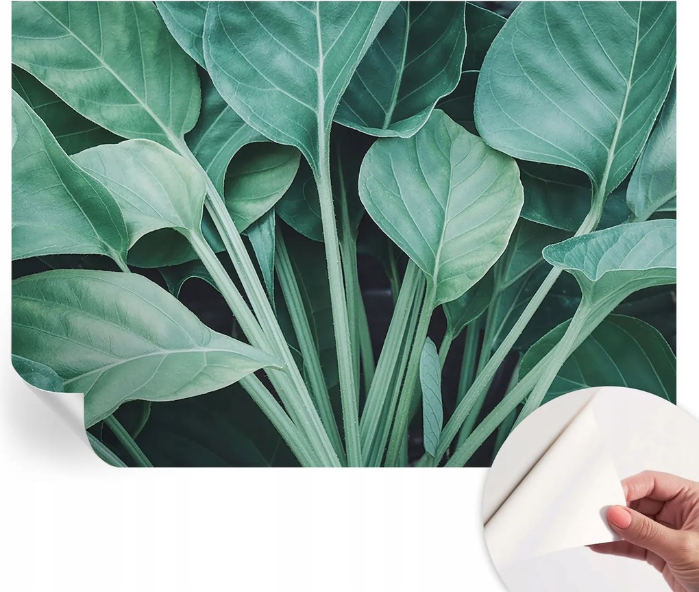 Öntapadós fali fotótapéta Hálószobába Zöld természet 312x219 cm