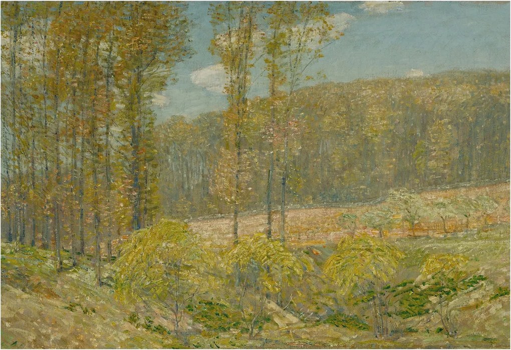 Fotótapéta Dekoratív Fali Tapéta Képek Erdei tájkép 152x104