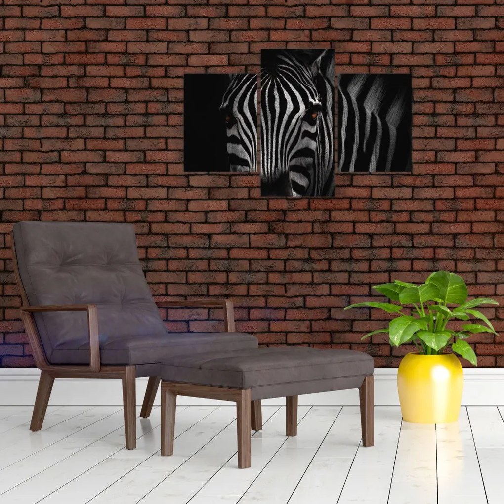 Zebra képe (90x60 cm)