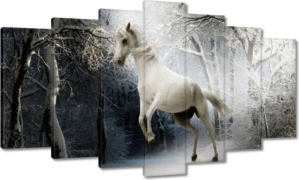 Vászonkép 140x80 Fehér paripa