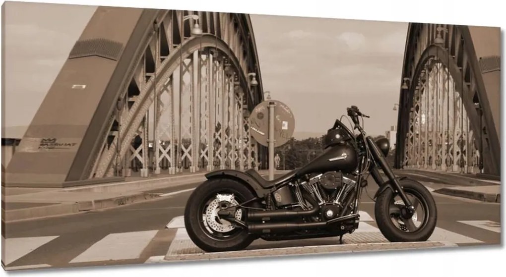 Képek 115x55 Harley Davidson Motorkerékpár
