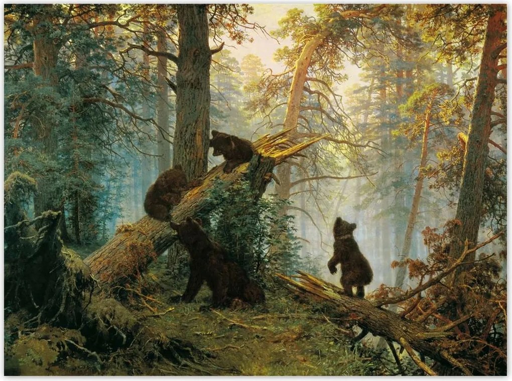 Poszterek 135x100 Reggel a fenyőerdőben