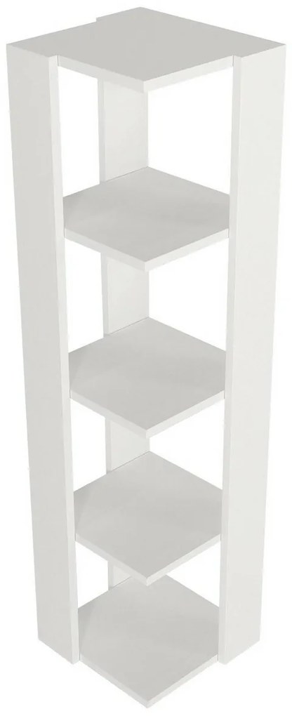 Venita White könyvtár