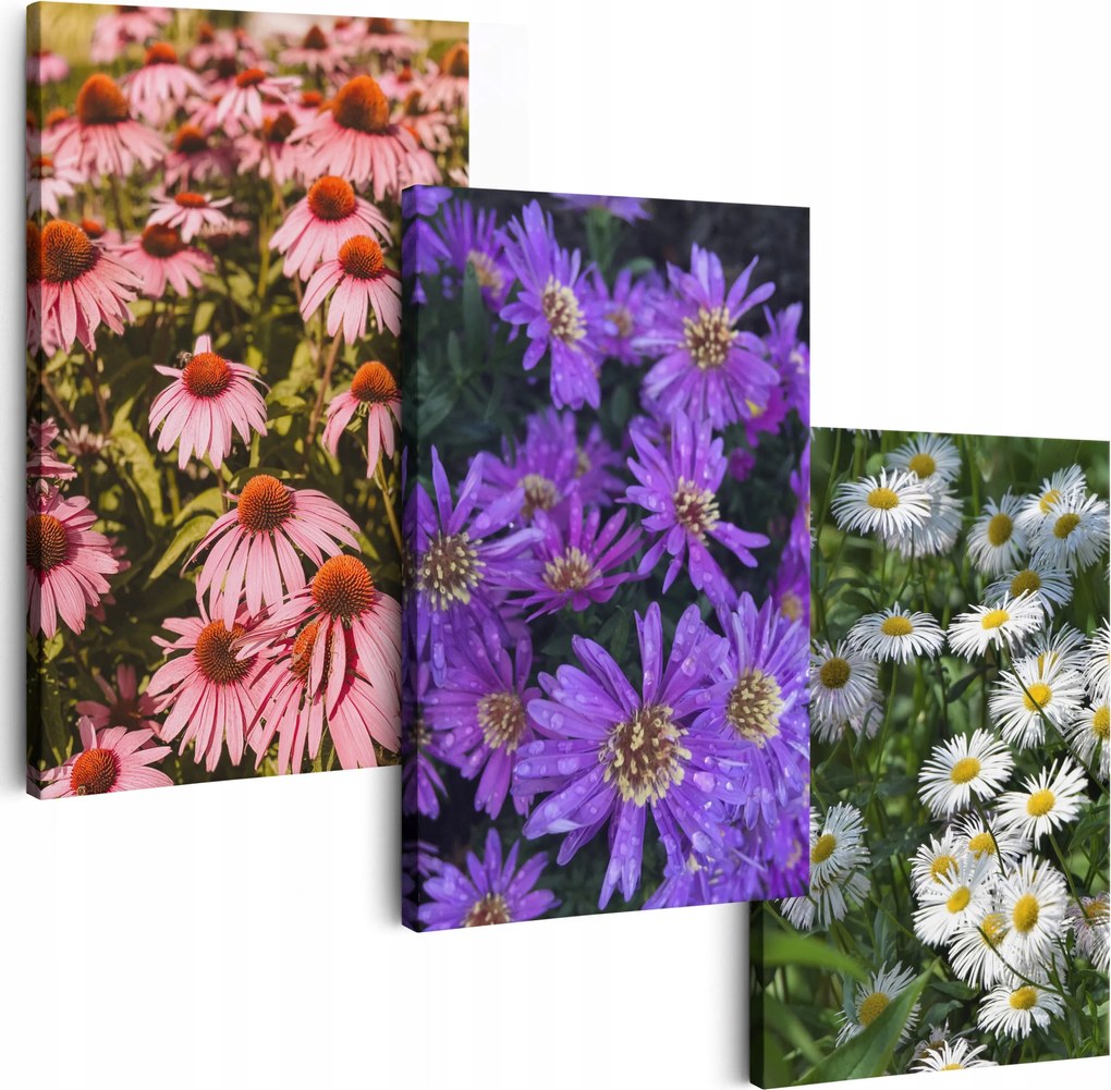 Vászonkép 180 cm **többféle minta** Képek A Nappaliba Triptichon Virágok