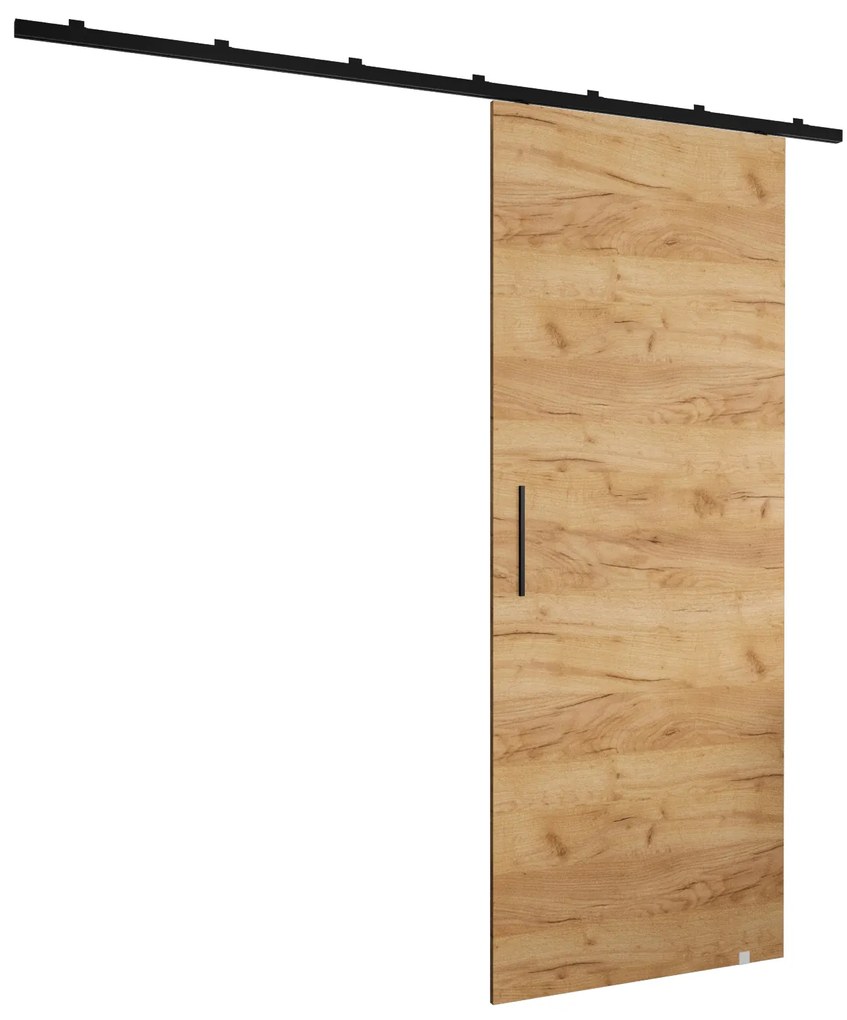 Tolóajtó 90 cm Zodiac I (craft tölgy). 1074267