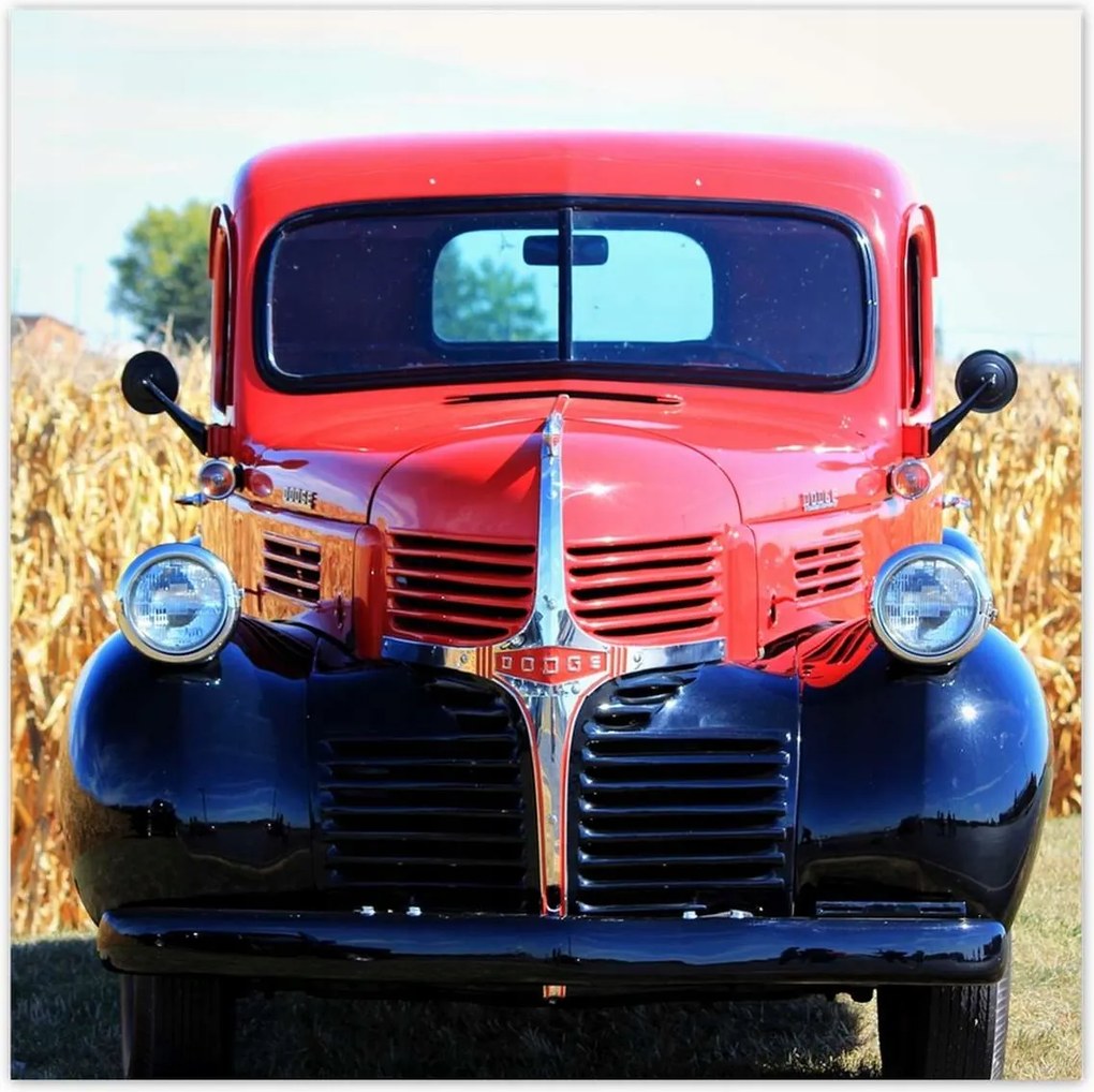 Poszterek 100x100 Ford autó