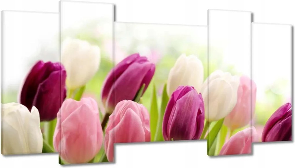 Képek 120x65 Gyönyörű tulipánok