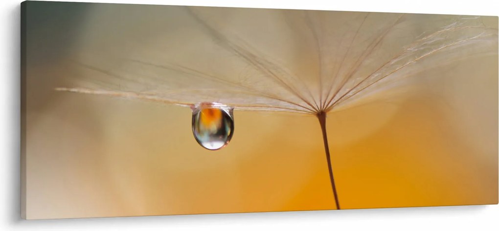 Kép - Makró virág (120x50 cm)