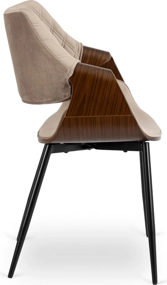 DAKOTA bársony szék bézs / dió színben