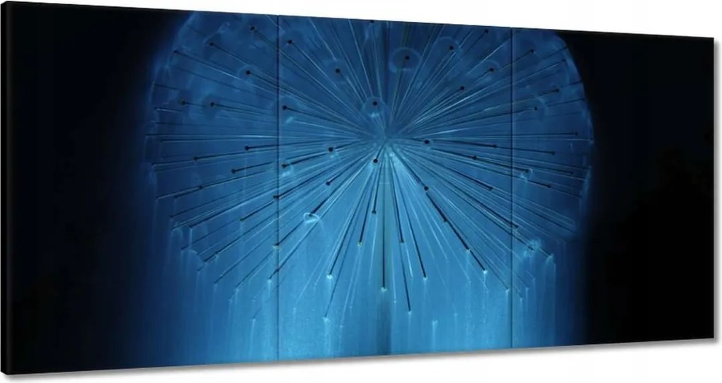 Vászonkép 180x90 Pitypang Virág Virágok