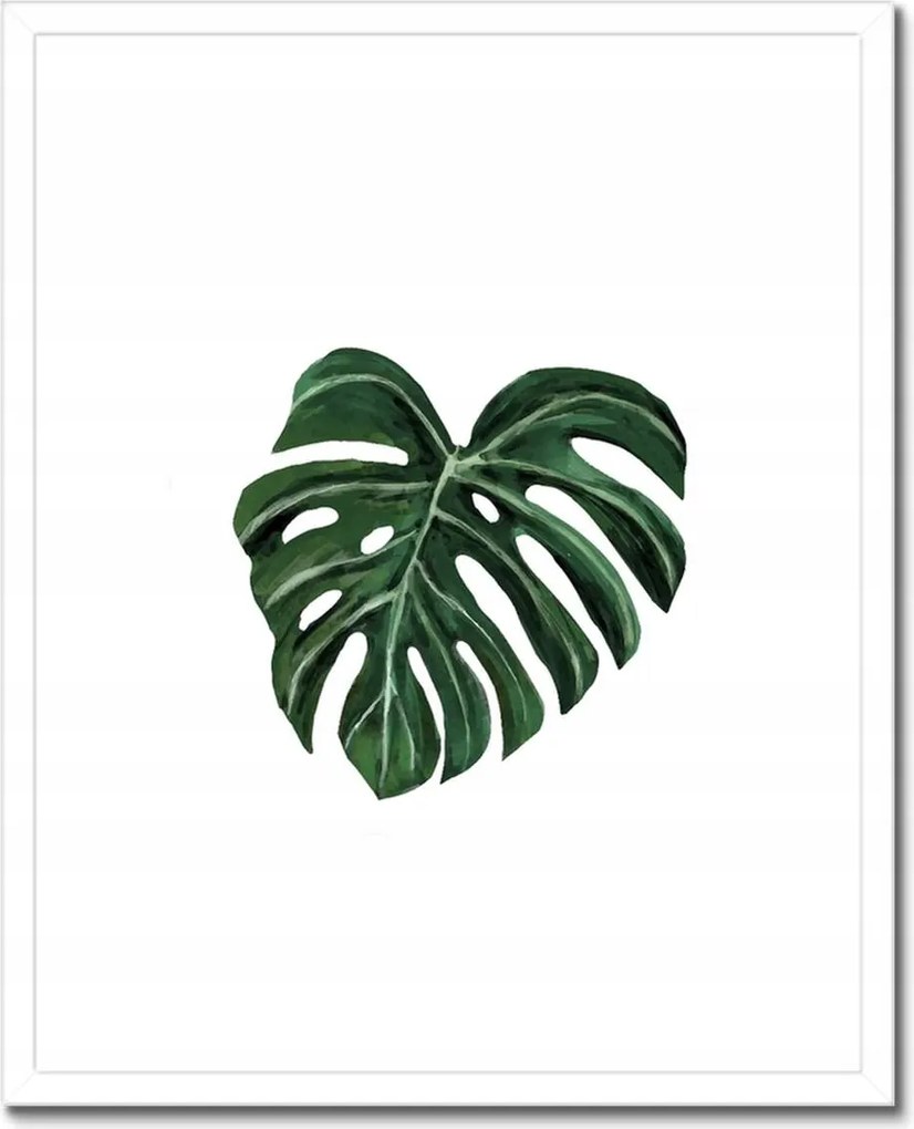 Poszterek keretben 40x50 Monstera deliciosa Levél
