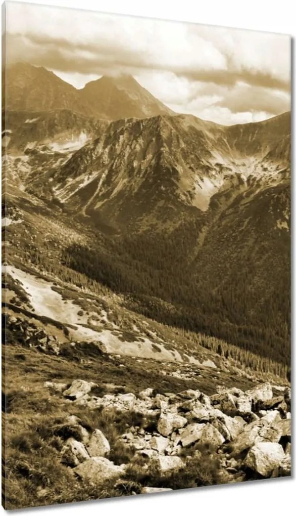 Vászonkép 80x120 Tátra Lengyel hegyek Kilátás