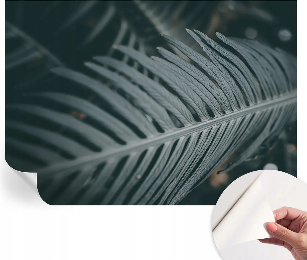 Öntapadós fotótapéta Nappaliba és Hálószobába Zöld levél 312x219