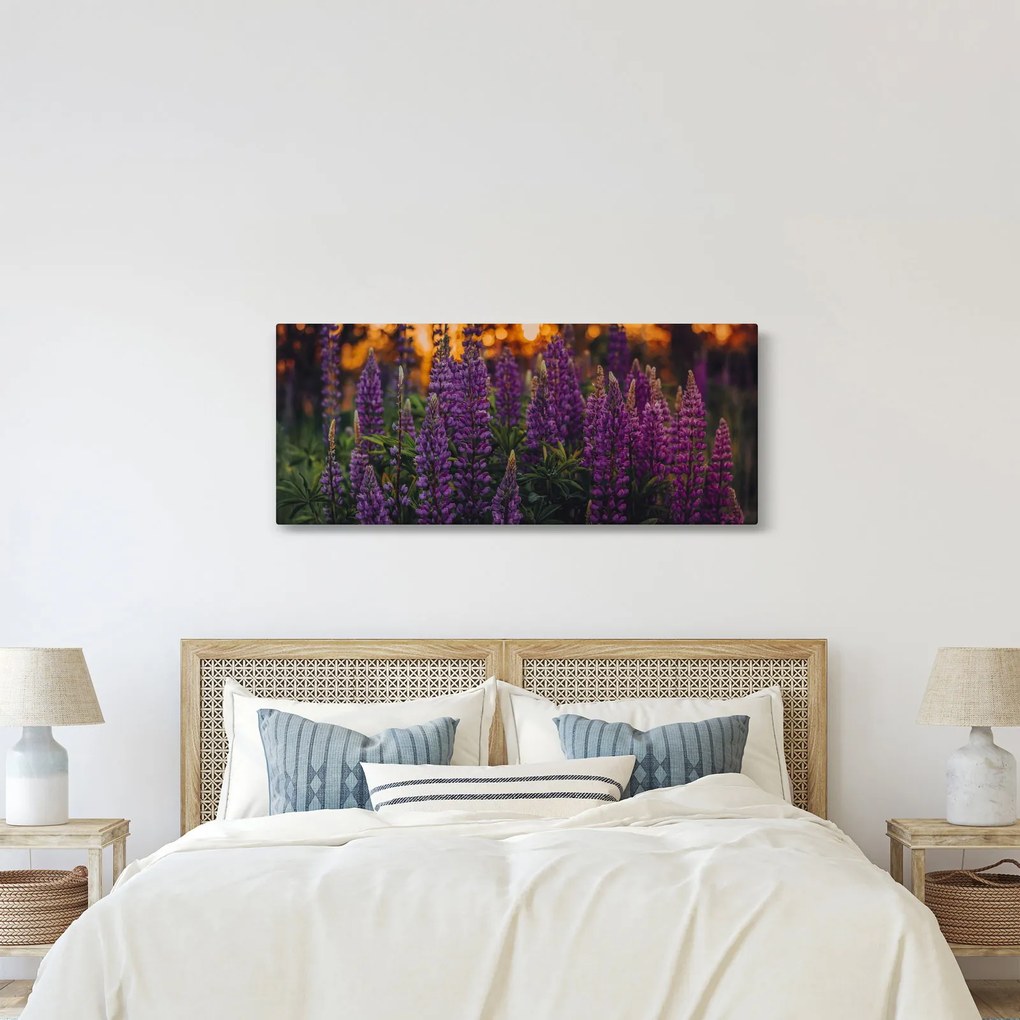 Egy csillagfürt virág képe (120x50 cm)