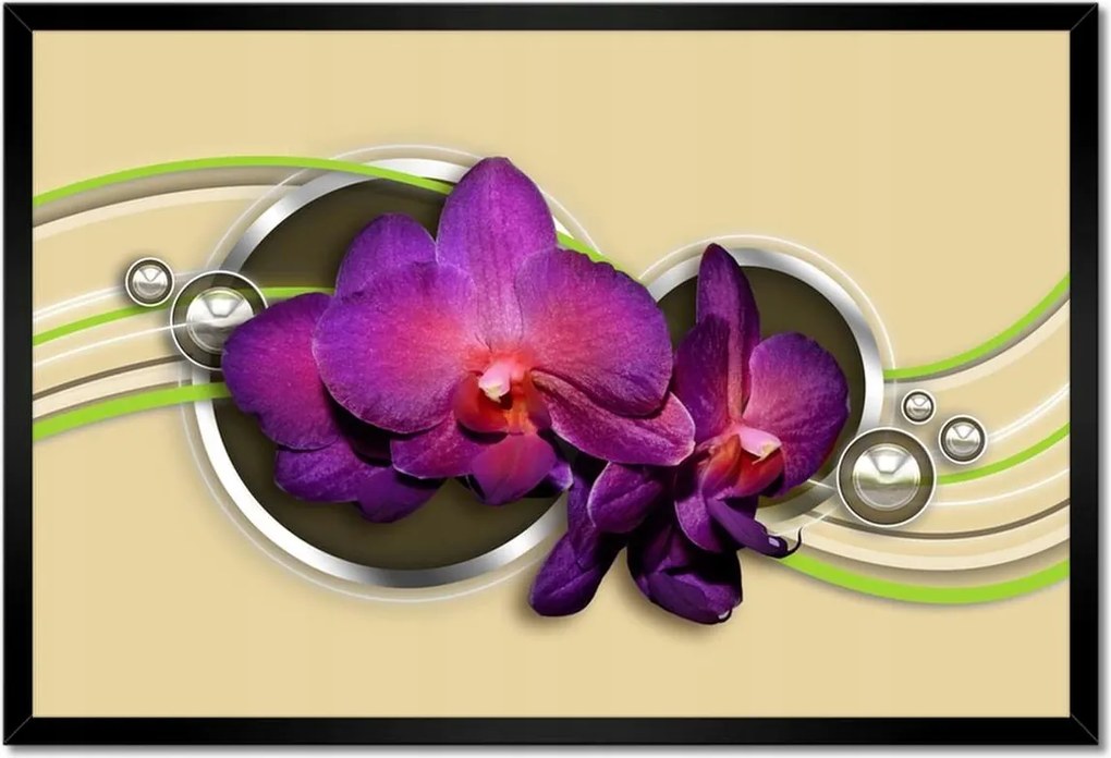 Poszterek keretben 60x40 Orchideák