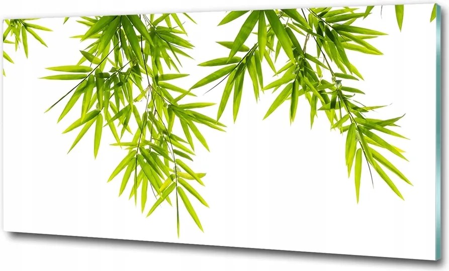 Fotó kép fotó edzett üveg Bambusz 125x50