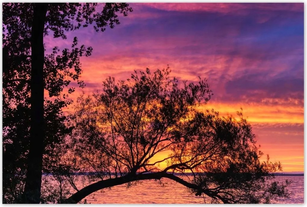 Poszterek 120x80 Tó Fa Nyugat