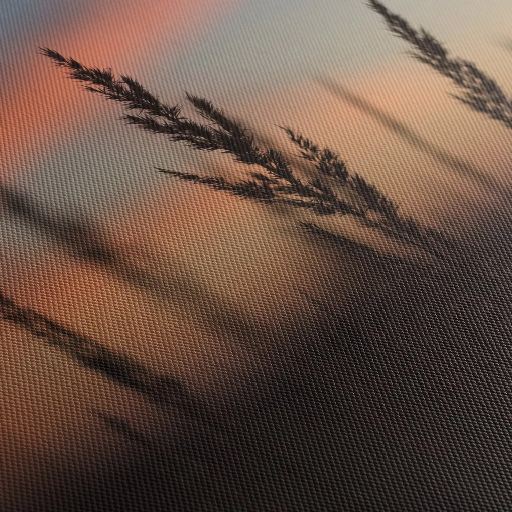 Kép - A növény sziluettje (120x50 cm)