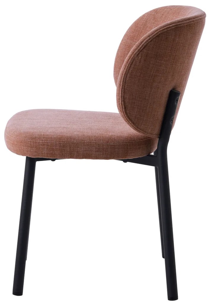 Swan design szék