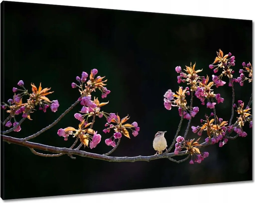 Vászonkép 100x70 Madarak